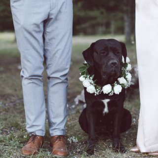 Farben, Taschen und Co.: Was Sie beim Dresscode bei einer Hochzeit beachten sollten
