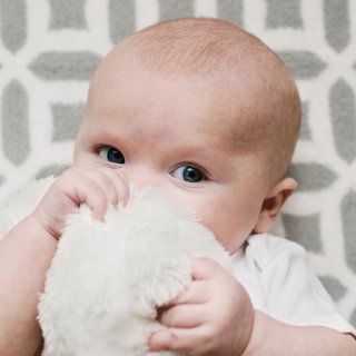 Neugeborenes hält weißes Kuscheltier