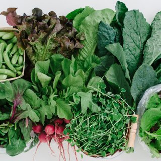Topshot von Radieschen, Salat und anderem grünem Bio-Gemüse
