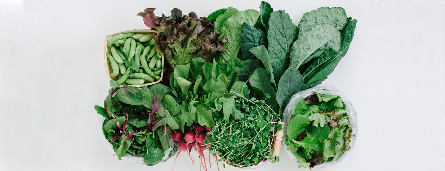 Topshot von Radieschen, Salat und anderem grünem Bio-Gemüse