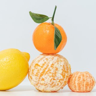 Vitamin-C-Bombe: Teils geschälte Orangen, Mandarinen und Zitronen; ansprechend drapiert