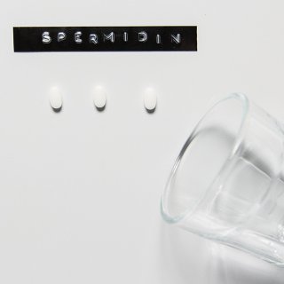 Wasserglas liegt auf Tisch neben Nahrungsergänzungsmittel Spermidin