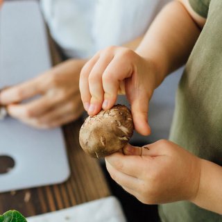 Kinderhände halten Kartoffel