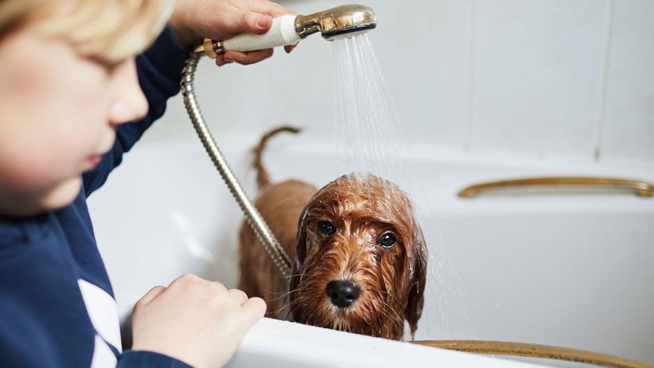 Kind wäscht Hund in der Badewanne und hilft so im Haushalt mit